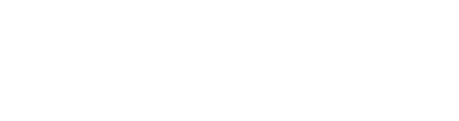 Blix